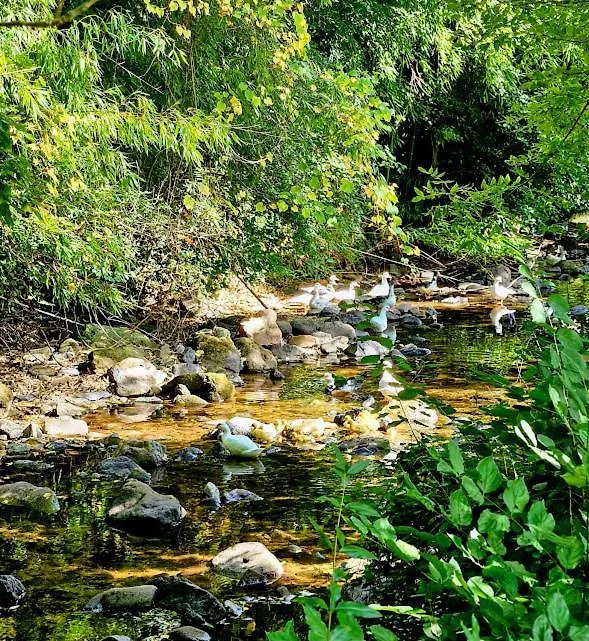 Aux doux refuges de la muse Appartement Montjaux 0*,